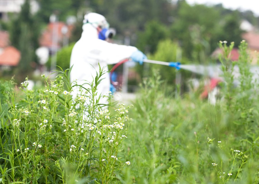 Alterra Pest Control pest control work in Benton