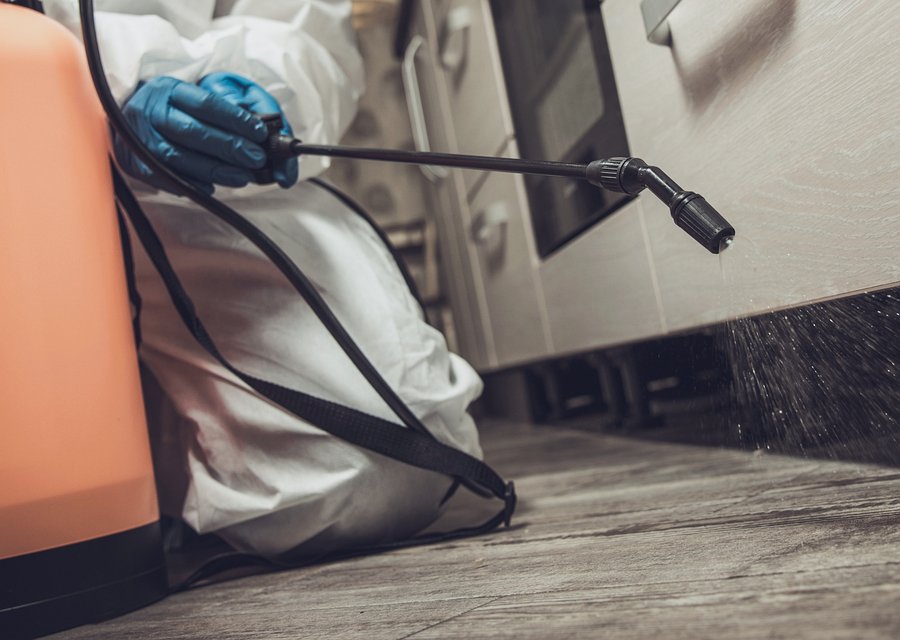 Pest treatment in Benton, MI