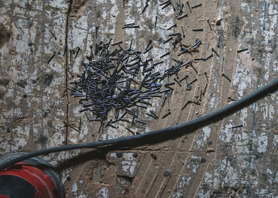 Pest treatment in Carbondale, PA