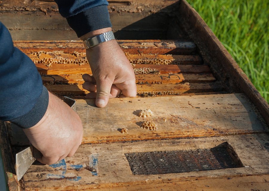 Pest Pros of Montana pest control work in London Grove
