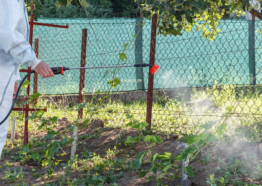 Local exterminator London Grove