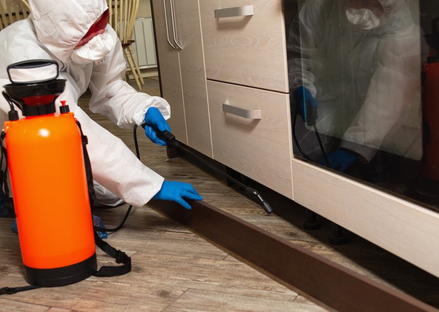Local exterminator Richmond