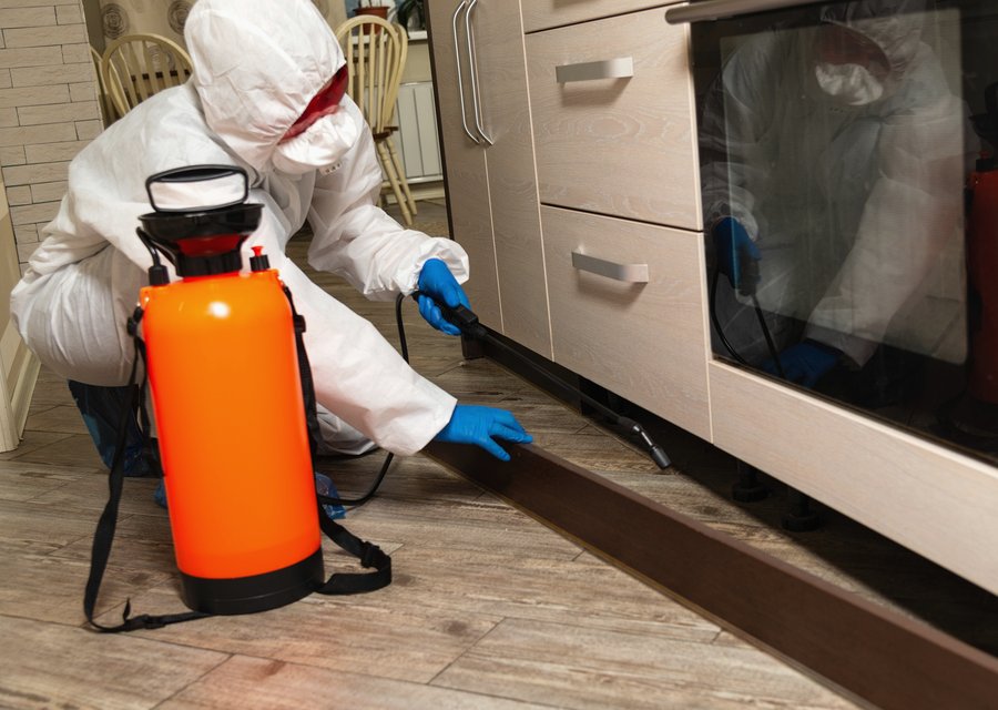 Pest treatment in Effingham, SC