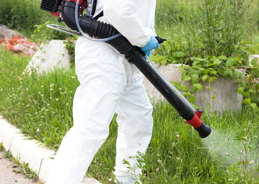 Pest treatment in Germantown, MD