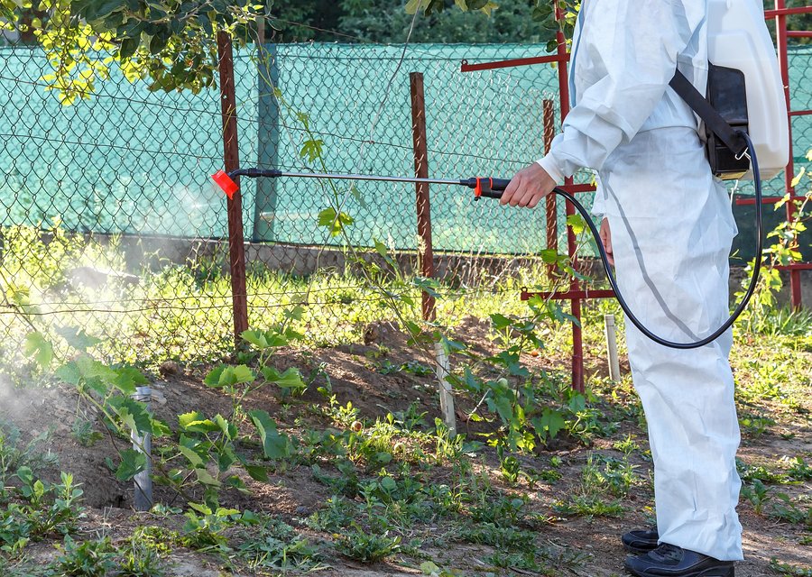 Francis Animal and Pest Control pest control work in Bountiful