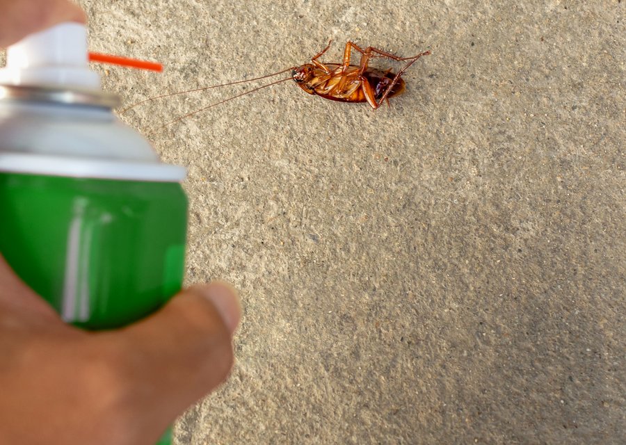 Local exterminator Commerce