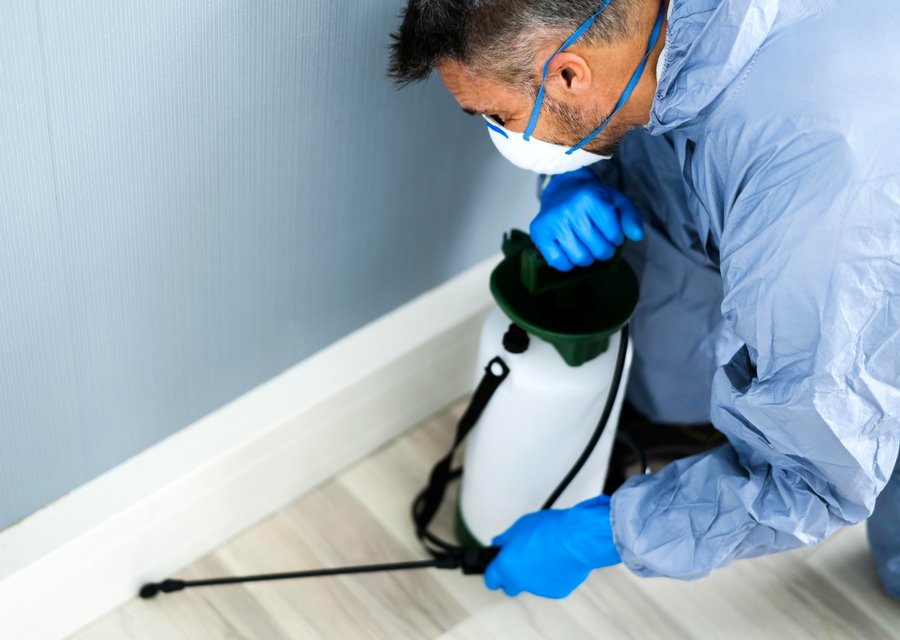 Pest treatment in Flushing, MI
